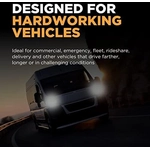 Order Ashtray Light by WAGNER - BP194LL For Your Vehicle