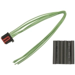 Order Audio Or Video Connector by BLUE STREAK (HYGRADE MOTOR) - S1772 For Your Vehicle