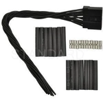 Order Audio Or Video Connector by BLUE STREAK (HYGRADE MOTOR) - S2220 For Your Vehicle