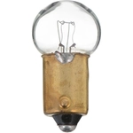 Order Indicateur de transmission automatique (paquet de 10) de PHILIPS - 1895CP For Your Vehicle