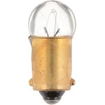 Order Auto Transmission Indicator by PHILIPS - 53B2 For Your Vehicle