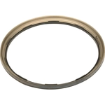 Order Automatic Transmission Clutch Pack Piston by ACDELCO - 24259453 For Your Vehicle