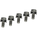 Order ACDELCO - 24231519 - Automatic Transmission M8 x 1.25 x 18 mm Fluid Pan Bolt For Your Vehicle