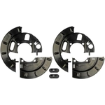 Order DORMAN (OE SOLUTIONS) - 924-222 - Backing Plate For Your Vehicle