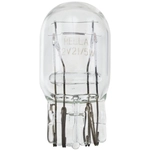 Order HELLA - 7443 - Tail Lamp Bulb For Your Vehicle