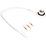 Order Backup Light Socket by ACDELCO - PT2775 For Your Vehicle