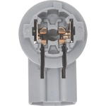 Order Backup Light Socket by BLUE STREAK (HYGRADE MOTOR) - S2669 For Your Vehicle