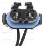 Order Backup Light Socket by BLUE STREAK (HYGRADE MOTOR) - HP3970 For Your Vehicle