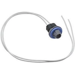 Order Backup Light Socket by BLUE STREAK (HYGRADE MOTOR) - HP4555 For Your Vehicle