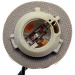 Order Backup Light Socket by BLUE STREAK (HYGRADE MOTOR) - S570 For Your Vehicle