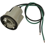 Order STANDARD - PRO SERIES - S63 - Back Up Light Socket For Your Vehicle