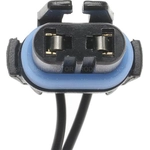 Order Backup Light Switch Connector by BLUE STREAK (HYGRADE MOTOR) - S524 For Your Vehicle