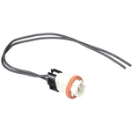 Order Backup Light Switch Connector by MOTORCRAFT - WPT964 For Your Vehicle