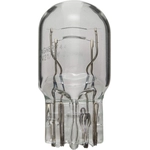 Order Backup Light (Pack of 10) by WAGNER - 7443 For Your Vehicle