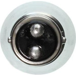 Order Backup Light by WAGNER - BP2057 For Your Vehicle