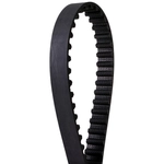 Order CONTINENTAL - 40168 - Balance Shaft Belt For Your Vehicle