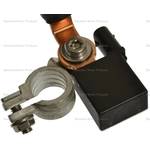 Order Battery Current Sensor by BLUE STREAK (HYGRADE MOTOR) - BSC72 For Your Vehicle