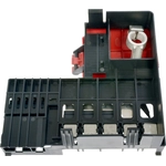 Order Battery Fuse by DORMAN (OE SOLUTIONS) - 956-500 For Your Vehicle