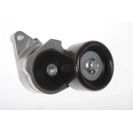 Order DORMAN - 419318 - Automatic Belt Tensioner For Your Vehicle