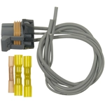 Order BLUE STREAK (HYGRADE MOTOR) - S1016 - HVAC Control Module Connector For Your Vehicle