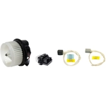 Order FOUR SEASONS - 75843BRK1 - A/C Compressor Service Kit For Your Vehicle