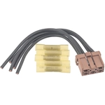 Order BLUE STREAK (HYGRADE MOTOR) - S2448 - HVAC Blower Motor Resistor Connector For Your Vehicle