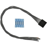 Order Blower Resistor Connector by BWD AUTOMOTIVE - PT1117 For Your Vehicle