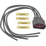 Order BWD AUTOMOTIVE - PT1262 - HVAC Blower Motor Resistor Connector For Your Vehicle