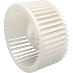 Order Blower Wheel by FOUR SEASONS - 35534 For Your Vehicle