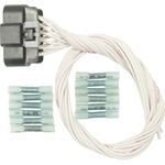 Order Body Harness Connector by BLUE STREAK (HYGRADE MOTOR) - S1278 For Your Vehicle