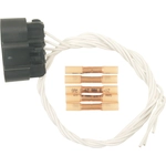 Order Body Harness Connector by BLUE STREAK (HYGRADE MOTOR) - S1336 For Your Vehicle