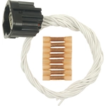 Order Body Harness Connector by BLUE STREAK (HYGRADE MOTOR) - S1568 For Your Vehicle