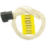 Order Body Harness Connector by BLUE STREAK (HYGRADE MOTOR) - S1309 For Your Vehicle