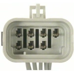 Order Body Harness Connector by BLUE STREAK (HYGRADE MOTOR) - S1642 For Your Vehicle