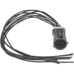 Order Body Harness Connector by STANDARD - PRO SERIES - S1756 For Your Vehicle