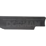 Order Body Molding by DORMAN (OE SOLUTIONS) - 926-923 For Your Vehicle