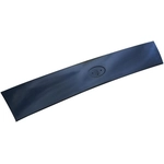 Order Body Panel Trim by DORMAN (OE SOLUTIONS) - 924-091 For Your Vehicle