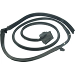 Order AUTOTECNICA - MA0817088 - Door Seal For Your Vehicle
