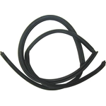 Order Body Seal by URO - 51711808686 For Your Vehicle