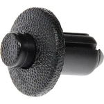 Order Body Splash Shield Hardware by DORMAN/AUTOGRADE - 963-181 For Your Vehicle