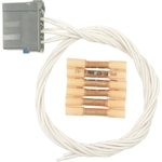 Order Body Switch Connector by BLUE STREAK (HYGRADE MOTOR) - S1450 For Your Vehicle