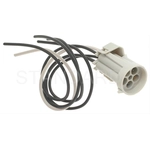 Order Body Switch Connector by BLUE STREAK (HYGRADE MOTOR) - S736 For Your Vehicle