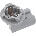 Order Brake Light Socket by BLUE STREAK (HYGRADE MOTOR) - S2669 For Your Vehicle