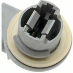 Order Brake Light Socket by BLUE STREAK (HYGRADE MOTOR) - S791 For Your Vehicle