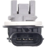 Order BWD AUTOMOTIVE - PT5596 - Tail Lamp Socket For Your Vehicle