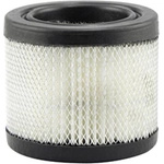 Order Breather Element by BALDWIN - PA1603 For Your Vehicle