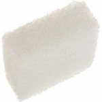 Order Élément de reniflard de BLUE STREAK (HYGRADE MOTOR) - BF34 For Your Vehicle