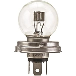 Order HELLA - 7951 - Bulb For Your Vehicle