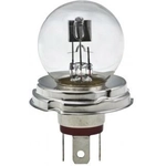 Order HELLA - 7952 - Bulb For Your Vehicle