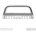 Purchase Bumper Guard by WESTIN - 31-6000